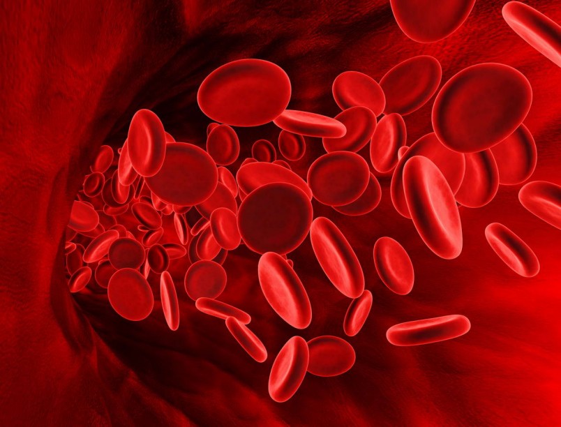 Для того чтобы бороться с проблемой низкого гемоглобина в крови, рекомендуется выяснить причину. 