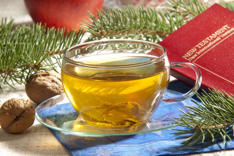 Вылечить кашель в домашних условиях поможет травяной чай с мать-и-мачехой. 