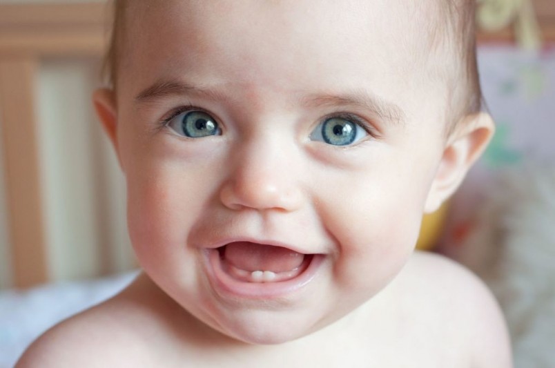 Молочные зубы определяют местоположение коренных зубов, их пространственное расположение во рту.